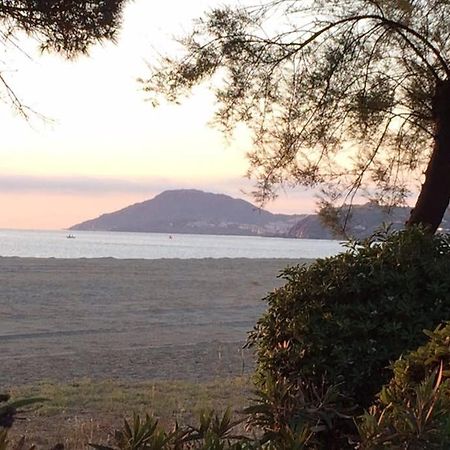 2 Chambres, Residence Avec Piscine, 100 Metres De La Mer 滨海阿热莱斯 外观 照片